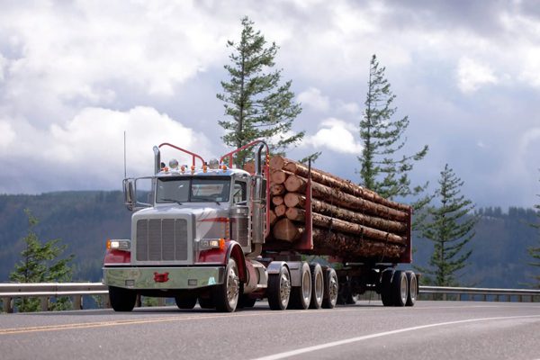 Commercial Auto Insurance in Charleston, SC